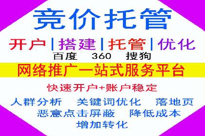 行业领先的SEM竞价广告投放案例
